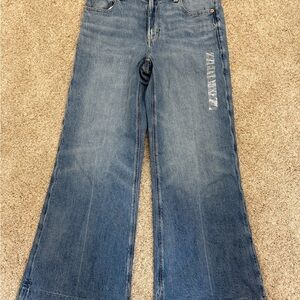 AE wide leg jeans
